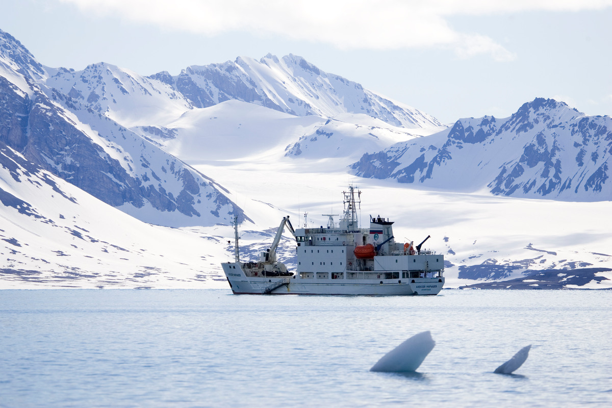 New Polar Code regulations approved WWF Arctic